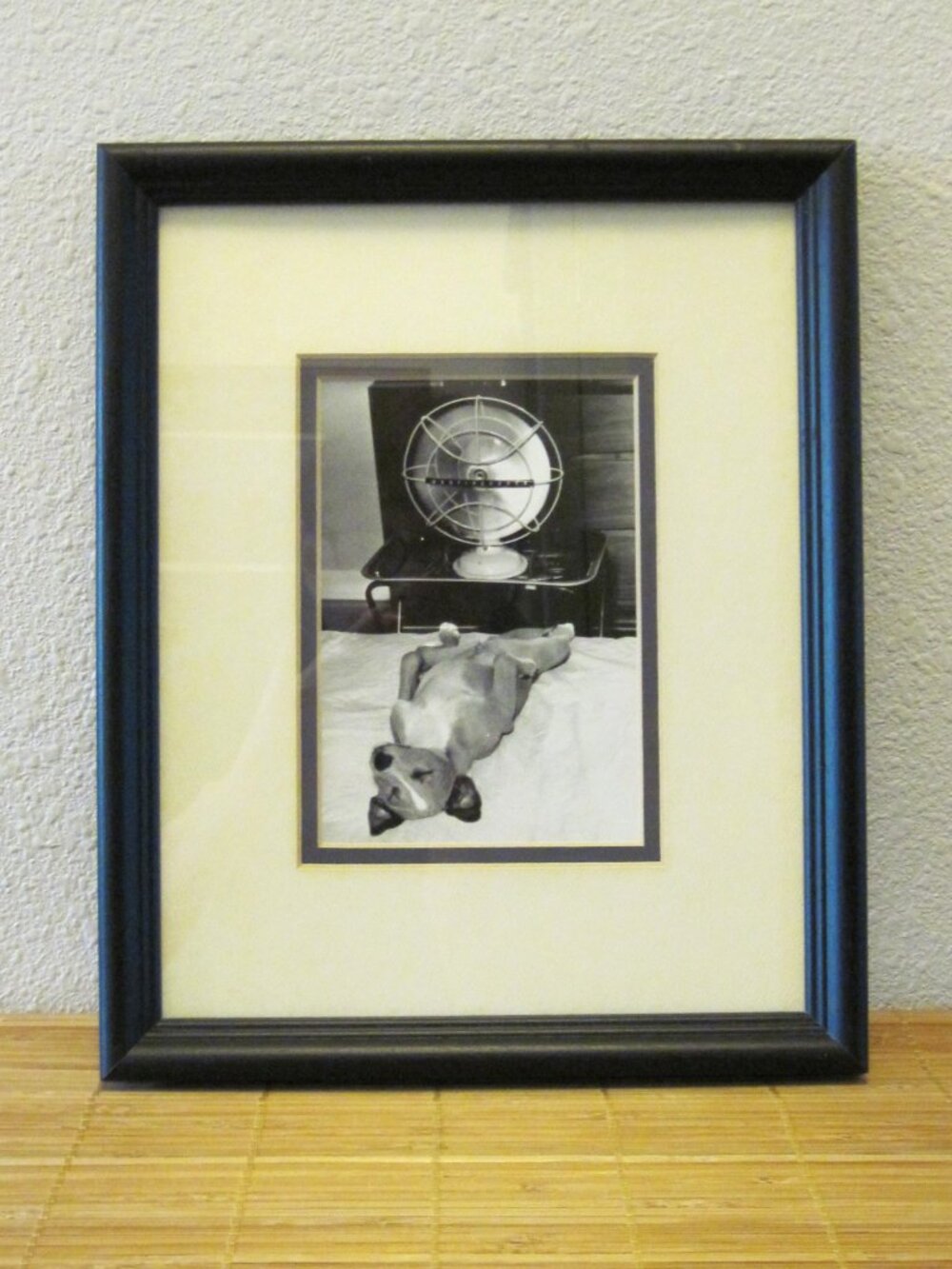 Hot Dog 9" x 11" Framed Picture